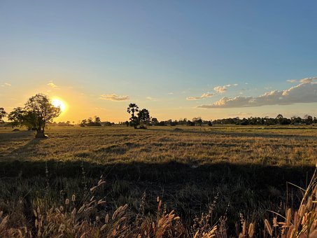 Solnedgang I Cambodja, Ris, Khmer