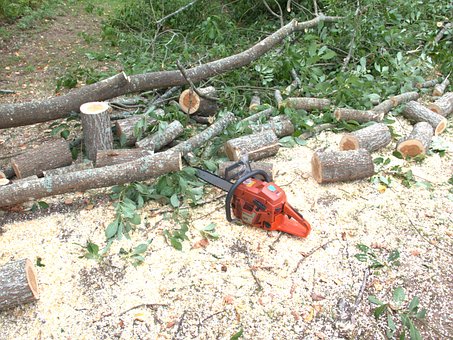 Kettingzaag, Hout, Kappen, Houthakker