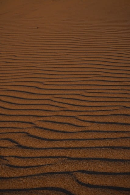 sand, dune, waves, texture, desert, nature, outdoors, natural pattern, warm, golden, plant, sunset, wide-angle, abstract, tone, minimalistic, calm, gentle, sunrise, simplicity