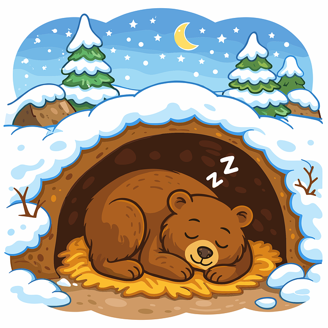 Free bear sleeping bear hibernating bear vector