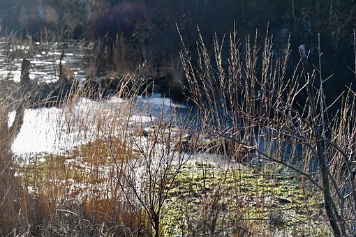 Free Moor Hole photo and picture