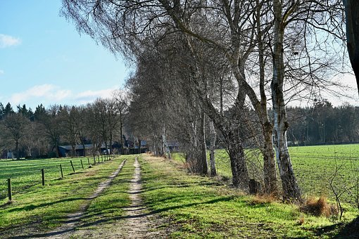 Free Field Dirt Road photo and picture
