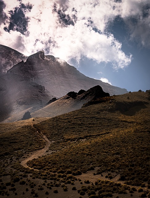 Weg, Abenteuer, Rucksack, Wandern, Natur