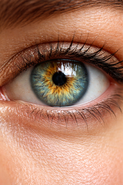 Free Eye Eyes illustration and picture