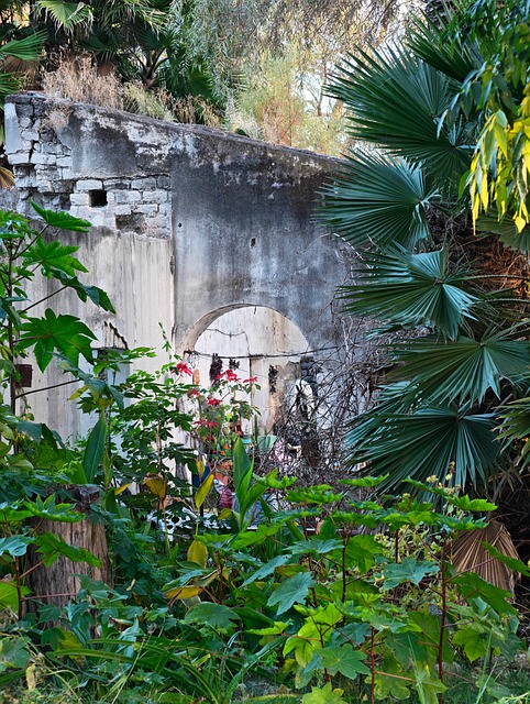 Free Ancient History photo and picture
