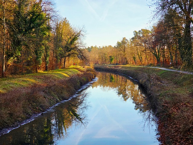 Canalul Pfinz, Hardtwald, Canal, Toamna