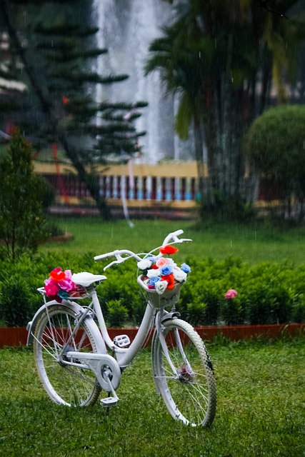 Free Bicycle Nature photo and picture