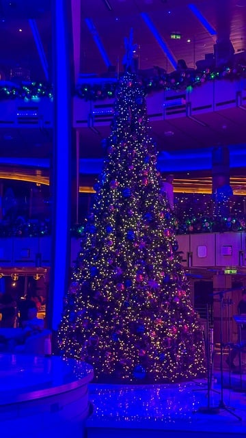 Free Cruise Ship Christmas photo and picture