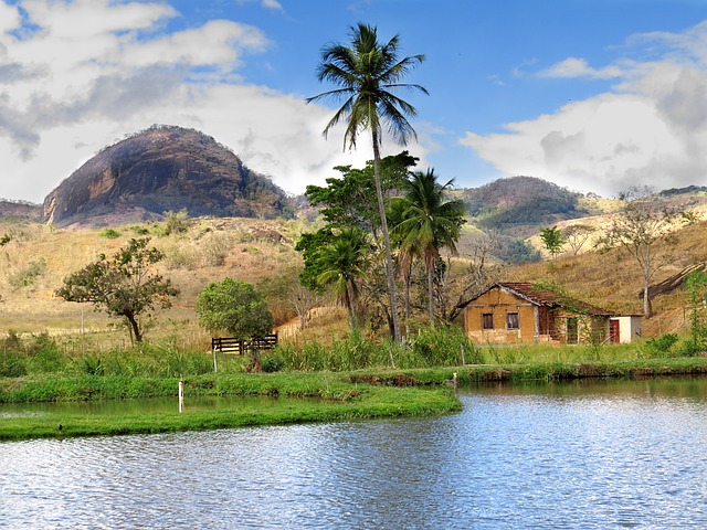 Free Rural Landscape Field photo and picture