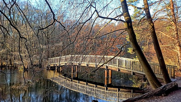 Puente, Naturaleza, Río, Bosque, Reflejo