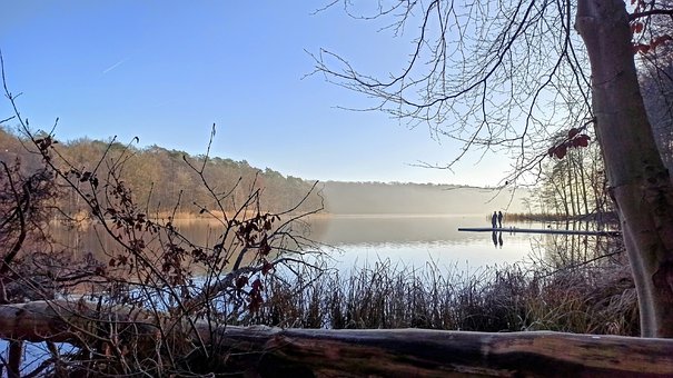 Naturaleza, Lago, Reflejo, Árboles