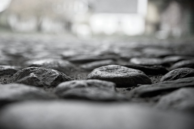 Free Cobblestones Pathway photo and picture