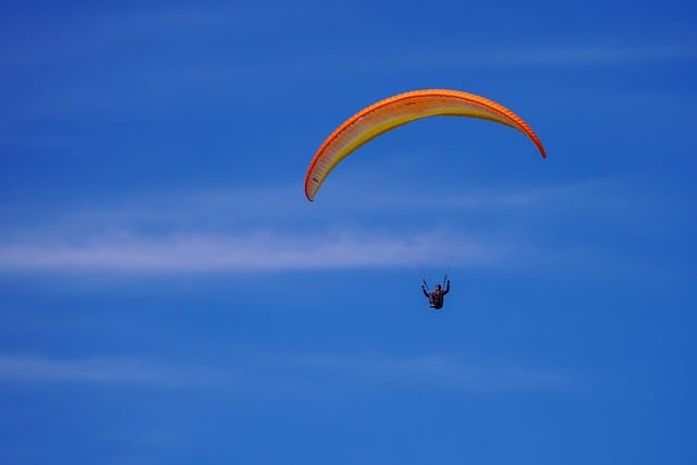 paraglider, nature, parachute, paragliding, flying, sports, heaven, leisure time, wind, freedom