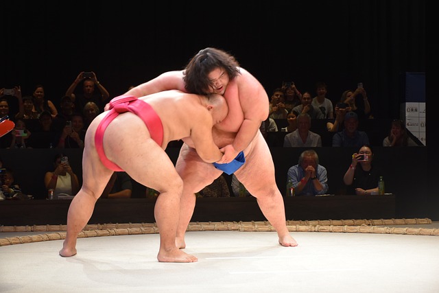 Free Japan Sumo photo and picture