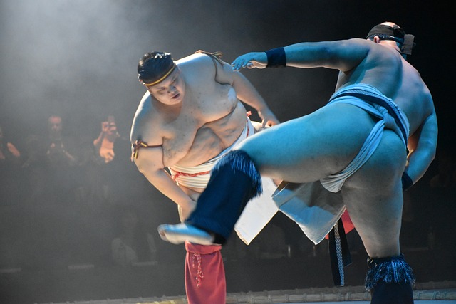Free Japan Sumo photo and picture