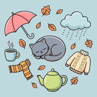 Herbst, Gemütlich, Niedlich, Katze