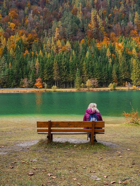 Stille, Ruhe, Natur, Bank, Landschaft
