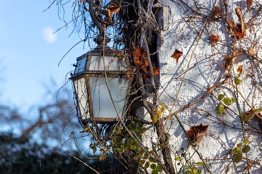 Free Light Lantern photo and picture