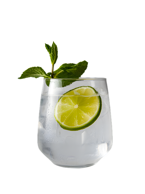 Free Mojito Cocktail illustration and picture
