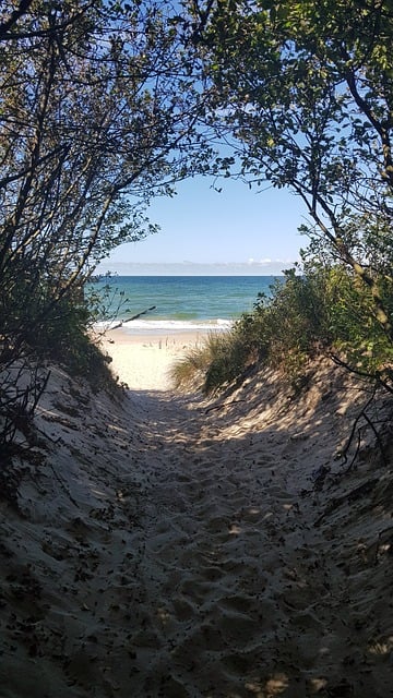 Free Sea The Baltic Sea photo and picture
