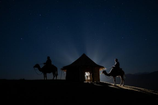 Free Three Wise Men Camels photo and picture