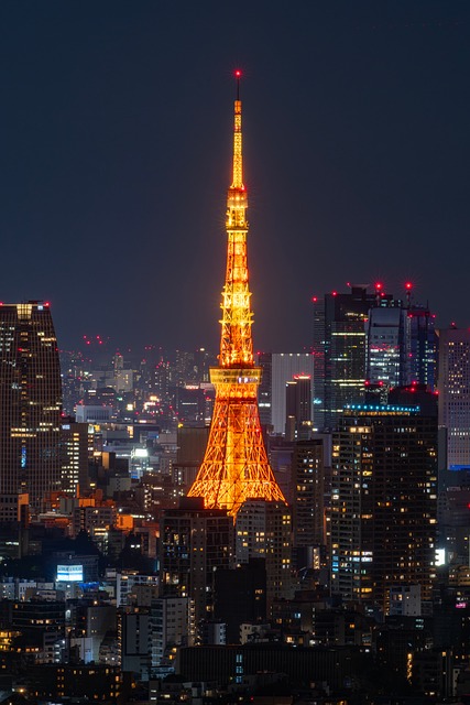 Tokyo Tårn, Byens Skyline