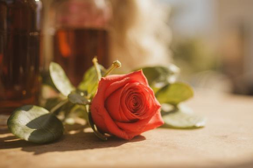 Free Love Friendship photo and picture