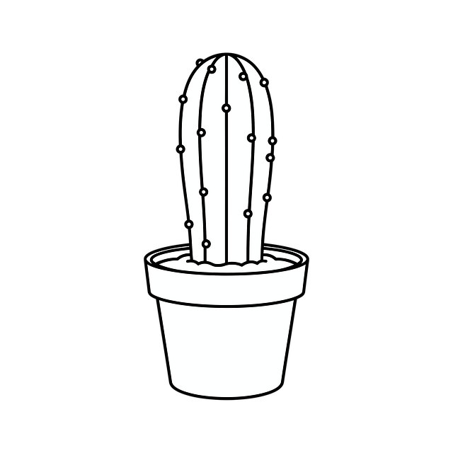 30.000+ kostenlose Cactus Doodle Design und Natur-Bilder - Pixabay