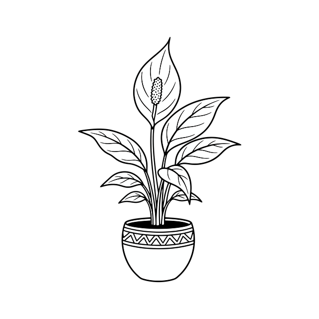 Free line art drawing design illustration