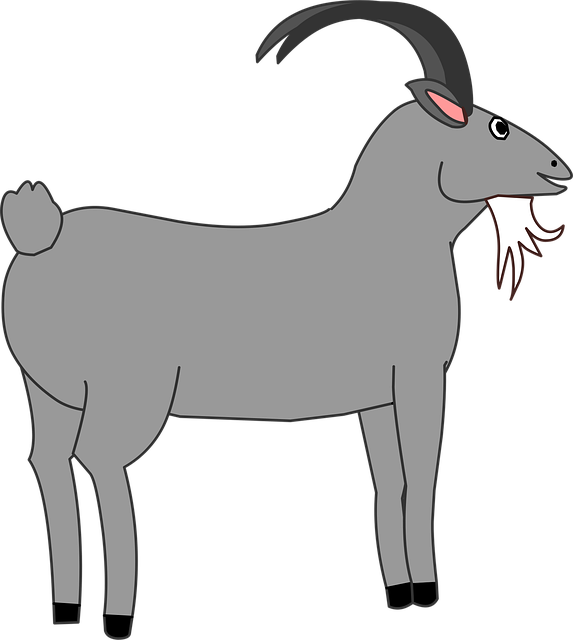 Cabra, Animal, Granja, Naturaleza, Gris