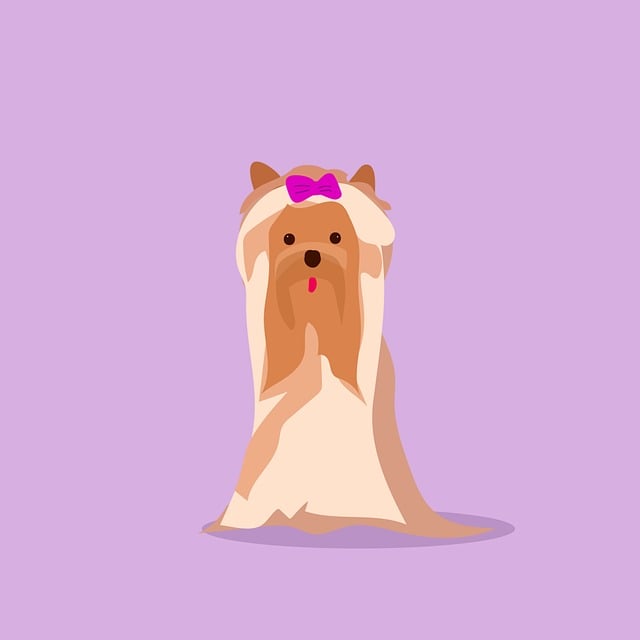 Terrier, Schoothond, Hond, Natuur, Dier