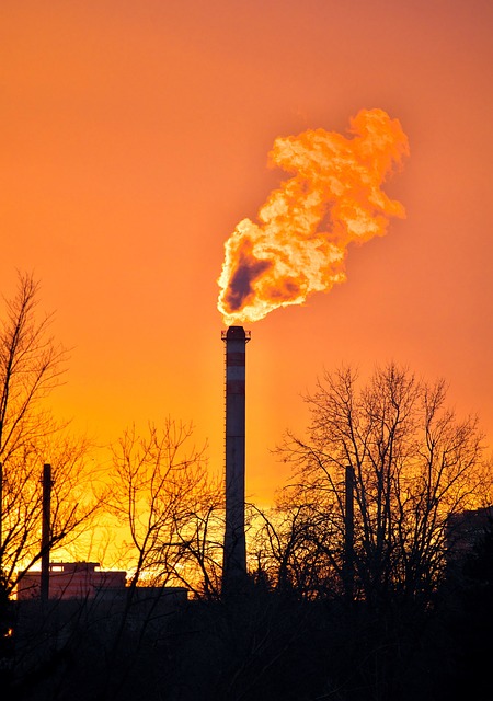 Free Pollution Air photo and picture