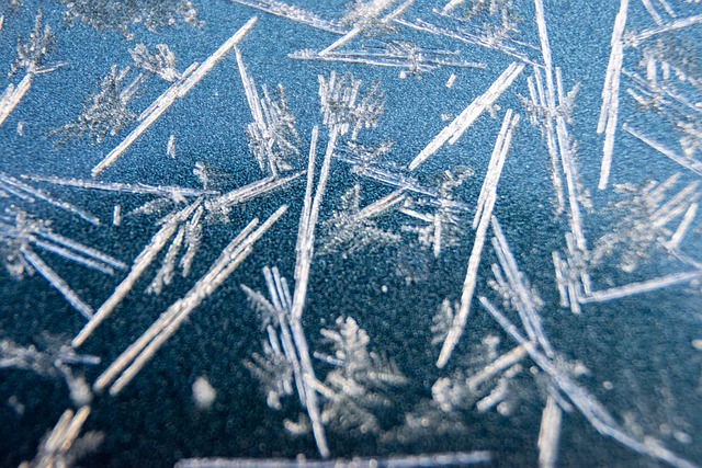 Free Frost Snow photo and picture