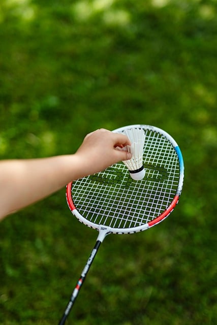 Free Badminton Sports photo and picture