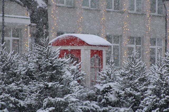 Free Winter Phone photo and picture