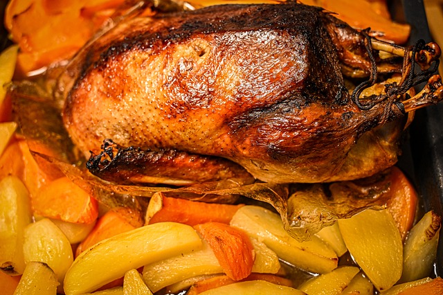 Free Food Duck photo and picture