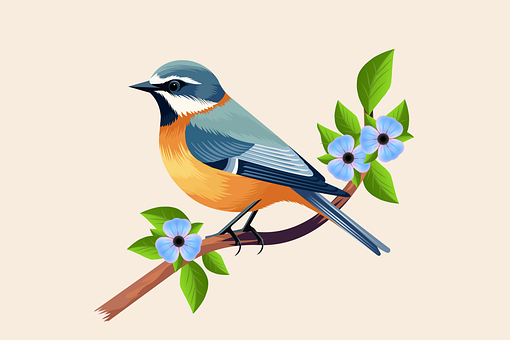 Free Bird Robin illustration and picture
