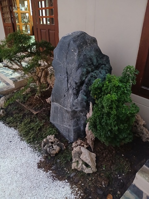 Nill Armstrong, Natură, Apă, Plantă