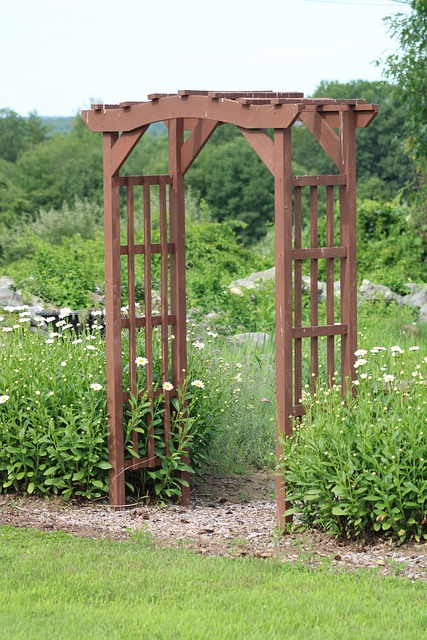 Free Arbor Flowers photo and picture
