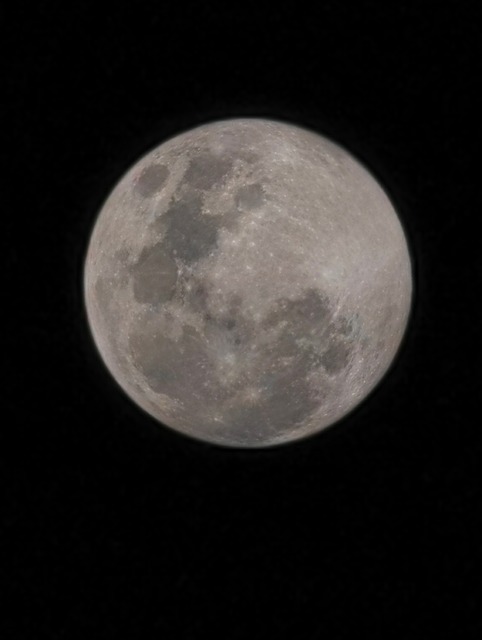 Free Cosmos Moon photo and picture
