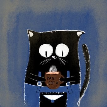 Katze, Tier, Niedlich, Kätzchen, Katzen