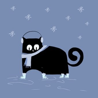 Haustier, Katze, Tier, Niedlich