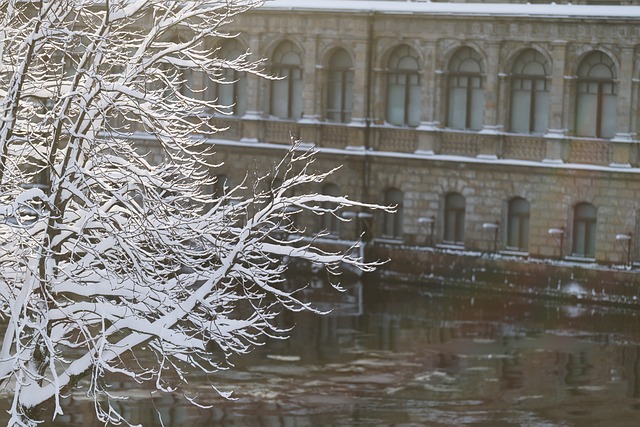Free Winter Snow photo and picture