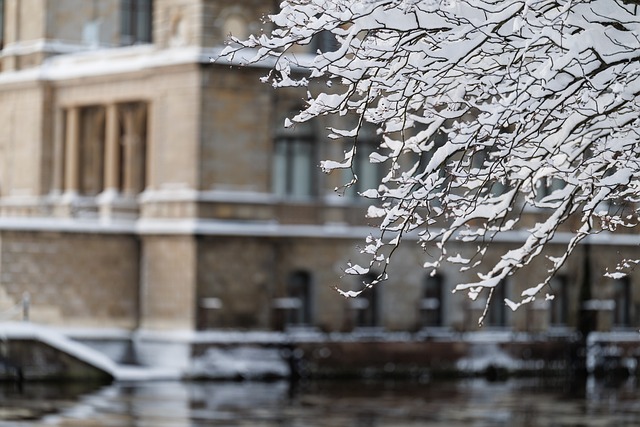 Free Snow Winter photo and picture