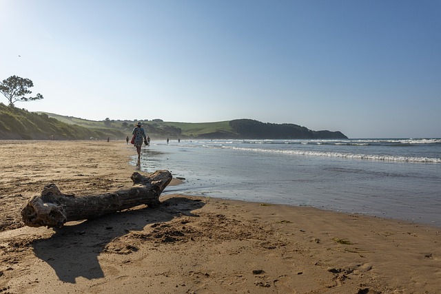 Free Beach Cantabria photo and picture