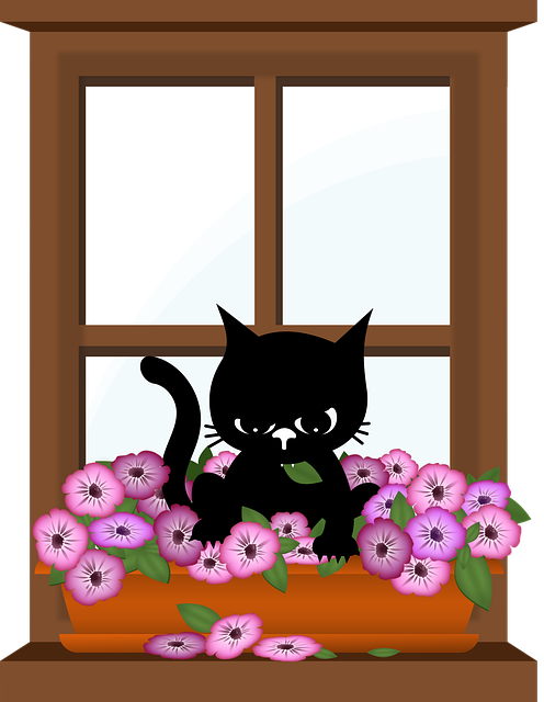 Free cat kitten black cats vector