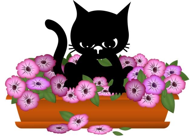 Free cat kitten black cats vector