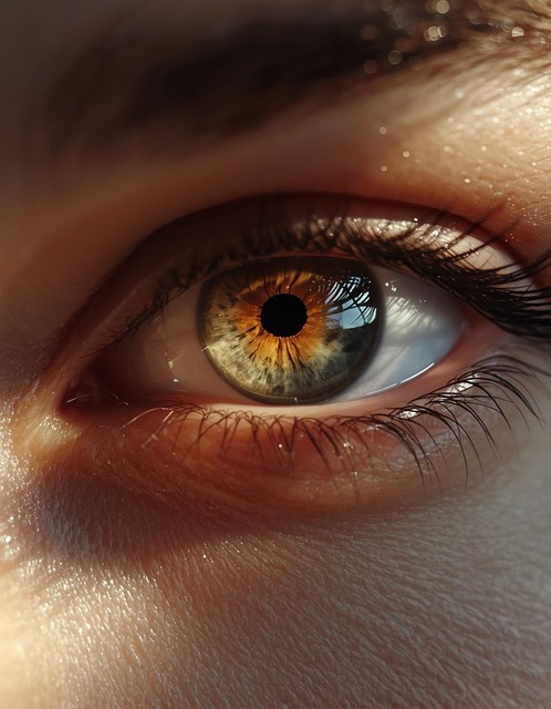 Free Eye Woman illustration and picture