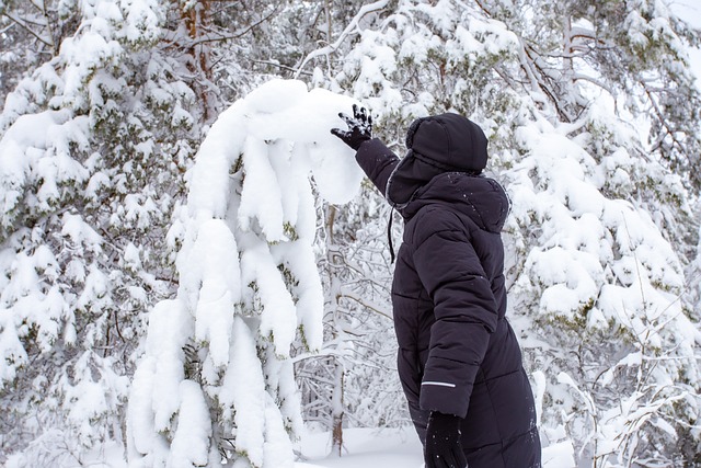 Free Winter Snow photo and picture