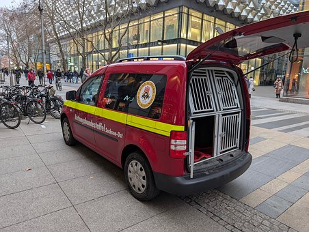 Auto, Rettungseinheit, Hundebox, Dresden